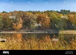 Grunewald & Grunewaldsee