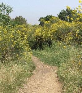 Riserva Naturale dell’Insugherata