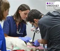 Hospital Veterinari Glòries