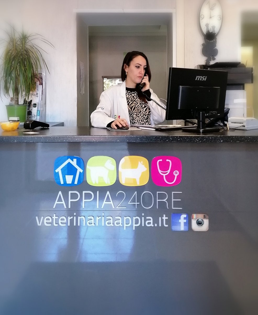 Clinica Veterinaria Roma Appia 24 Ore