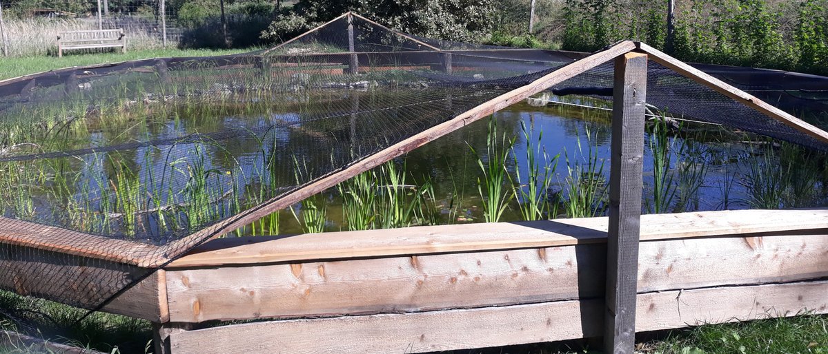 Lobau National Park