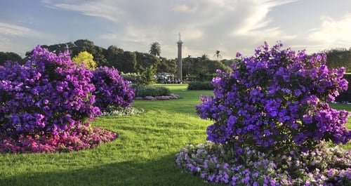 Centennial Park Off-Leash Area