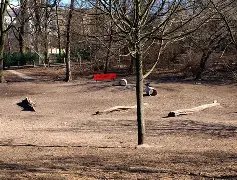 Volkspark Hasenheide (Dog Run)