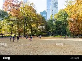 Central Park Dog Run