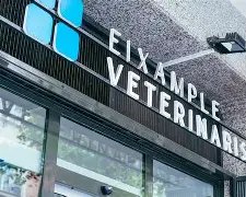 Vet’s Affinity – Eixample