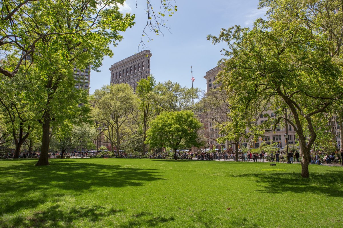 Madison Square Park Dog Run