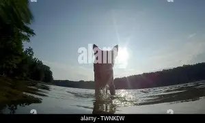 Grunewaldsee Hundestrand (Dog beach)