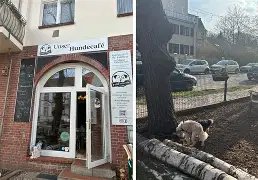 Hundesalon Fellfreunde