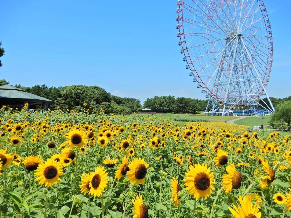 Kinuta Park Dog Run