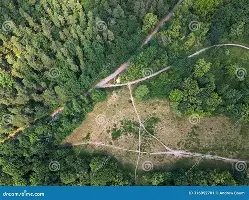 Grunewald Forest Trails