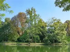 Bois de Boulogne (dogs allowed on paths)